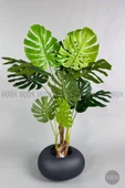 BİÇİÇEK Yapay Monstera Ağacı 150-170 cm thumbnail 3