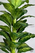 BİÇİÇEK Yapay Difenbahya Ağacı 170-200cm thumbnail 2