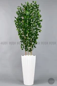 BİÇİÇEK Yapay Bambu ve Benjamin 6 dallı Yoğun Yapraklı 220 cm thumbnail 1