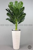 BİÇİÇEK 150cm Areka Ağacı Kumsal Saksıda thumbnail 1