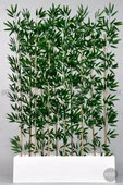 BİÇİÇEK Bambu Separator 170 cm 10 dallı Yoğun Yapraklı thumbnail 6