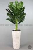 BİÇİÇEK 150cm Areka Ağacı Kumsal Saksıda thumbnail 8