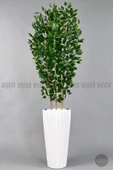 BİÇİÇEK Yapay Bambu ve Benjamin 6 dallı Yoğun Yapraklı 220 cm thumbnail 8
