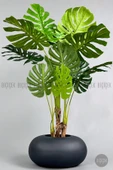 BİÇİÇEK Yapay Monstera Ağacı 150-170 cm thumbnail 1