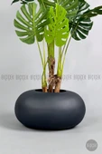 BİÇİÇEK Yapay Monstera Ağacı 150-170 cm thumbnail 6
