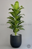 BİÇİÇEK Yapay Difenbahya Ağacı 190 cm lux dış mekan saksıda thumbnail 3