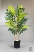 BİÇİÇEK 115cm Areka Ağacı 24 yapraklı yakut Saksıda - 5