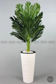 BİÇİÇEK 150cm Areka Ağacı Kumsal Saksıda thumbnail 6