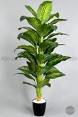 BİÇİÇEK Yapay Difenbahya Ağacı 170-200cm thumbnail 7