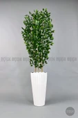 BİÇİÇEK Yapay Bambu ve Benjamin 6 dallı Yoğun Yapraklı 220 cm thumbnail 4