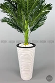 BİÇİÇEK 150cm Areka Ağacı Kumsal Saksıda thumbnail 7