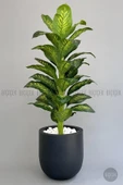 BİÇİÇEK Yapay Difenbahya Ağacı 190 cm lux dış mekan saksıda thumbnail 8