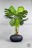 BİÇİÇEK Yapay Monstera Ağacı 150-170 cm thumbnail 5