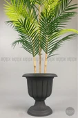 BİÇİÇEK 125cm Areka Ağacı 24 yapraklı Nergiz Saksıda thumbnail 3