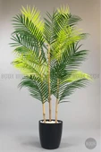 BİÇİÇEK 115cm Areka Ağacı 24 yapraklı yakut Saksıda - 7