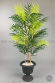 BİÇİÇEK 125cm Areka Ağacı 24 yapraklı Nergiz Saksıda thumbnail 6