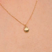 Altın Kolye - Mini İstiridye 14 Ayar Altın Kolye - 1