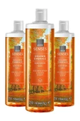 AVON 3'lü Senses Golden Embrace Duş Jeli 250ml - 1