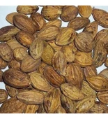 Sarı Halile 200 gram ( Terminalia Chebula ) Sarıhalile Bitkisi - 2