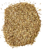 Doğal Rezene Çayı 200 gr  Sindirime Yardımcı, Rahatlatıcı Bitkisel Çay  Katkısız ve Taze - 2