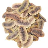 Açlık Otu Tokluk Hissi Veren Yağ Yaktırıcı Giderici Müshil Etkili Bitkisel Çay 200 Gr - 1