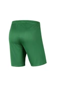NIKE Park III Short BV6855-302 Erkek Şort - 2