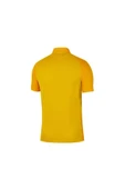 Nike Jersey Trophy IV BV6725-719 Erkek Polo Yaka Tişört - 2