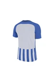 Nike Striped Division III Jsy 894081-464 Kısa Kol Forma - 4