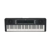 Medeli Dante D110 61 Tuşlu Org - 1