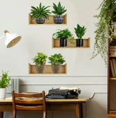 Raflı Bitki Tasarımlı Yapışkanlı Sticker 20*30 cm 3lü Set (5314) - 3