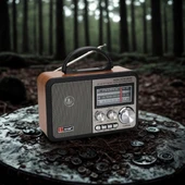 Orta Boy Retro, Nostaljik, Ahşap Tasarım Bluetooth Hoparlörlü, Şarjlı, Taşınabilir FM/AM Destekli Radyo NS-8897 (5314) - 3