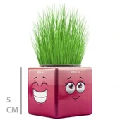 Çim Adam Mini Küp Emoji Figürlü 1 Adet thumbnail 4