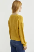 Yaka Detaylı Düğmeli Triko Hırka - Güneş thumbnail 6