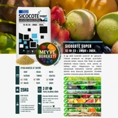 SICOCOTE NPK GÜBRE 12-10-23 (25 KG) - 2