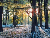 Güneşin Dokunuşu Adlı İran Tebriz Halı Tablo 123x75cm - Duvar Halı Kilim Tablo thumbnail 3