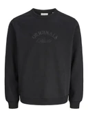 Jack Jones Bleecker Brandıbg Relax Fit Erkek Sweat 12286775 thumbnail 5