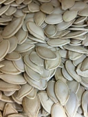 Öz Altın Kayısı Kabak Çekirdeği 1 KG thumbnail 2