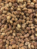 Öz Altın Kayısı Dut Kurusu 1 KG thumbnail 2