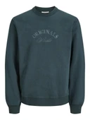 Jack Jones Bleecker Brandıbg Relax Fit Erkek Sweat 12286775 thumbnail 5