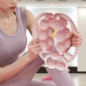 15 Tekerlekli Bacak Boyun Kol Masaj Aleti (5314) - 5