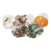 FİLELİ MİDYE DENİZ KABUK VAZO TAŞI RENKLİ MİX (5314) - 1