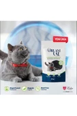 Dream Cat Kedi Kumu Koku Giderici Aktif Karbonlu 200g thumbnail 1