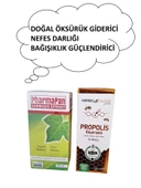 SARMAŞIK EKSTRAT 100ML + PROPOLİS EKSTRAT(ÖKSÜRÜK KESİCİ & AKCİĞER DETOX) thumbnail 1