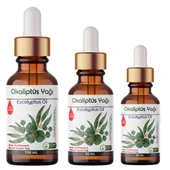 Okaliptüs Yağı - 100 mL thumbnail 2