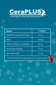 DENS DELTA CERAPLUS 30 KAPSÜL - 3