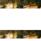 Hacamat Kupası - 3 Numara (10 Tane) thumbnail 2