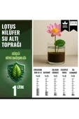 Lotus Çiçeği (Nilüfer) Su Altı Torf Karışımı Toprağı (1 LT Toprak) - 1 adet lotus tohumu hediyeli thumbnail 1
