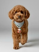 Christmas Dog Bandana | Küçük Irk Köpek Fuları | Yılbaşı Temalı Çorap Aksesuar Detaylı Bandana | Max 6 kg thumbnail 1