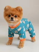 Puggy Pie Köpek Pijama Tulum | Küçük Irk Pamuklu Köpek Tulumu | Tüy Dökülmesini Azaltır | Penye Dog Pajamas thumbnail 1