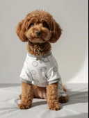 Soft Lion Köpek Tulumu | Pamuklu Penye Köpek Pijaması | Küçük Irklar İçin | Tüy Dökülmesini Azaltır thumbnail 2